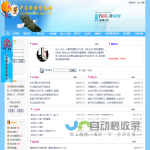 中国新疆猎头网
